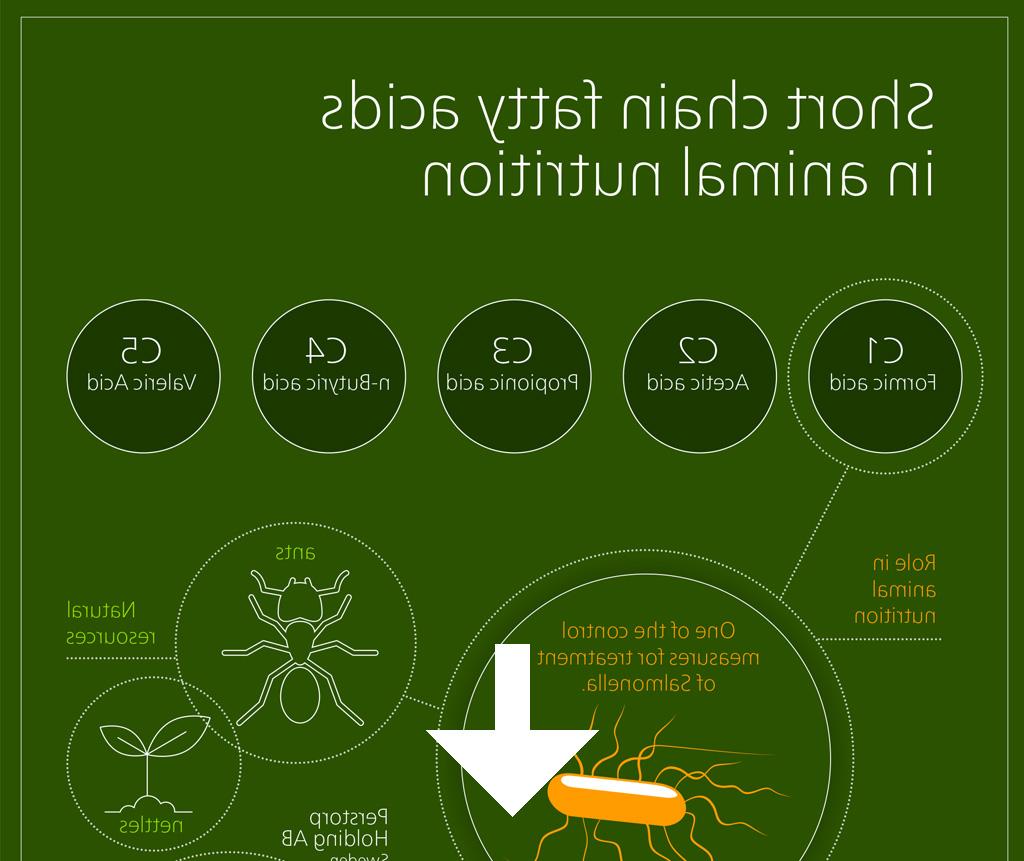 Short Chain Fatty Acids Infographic full download